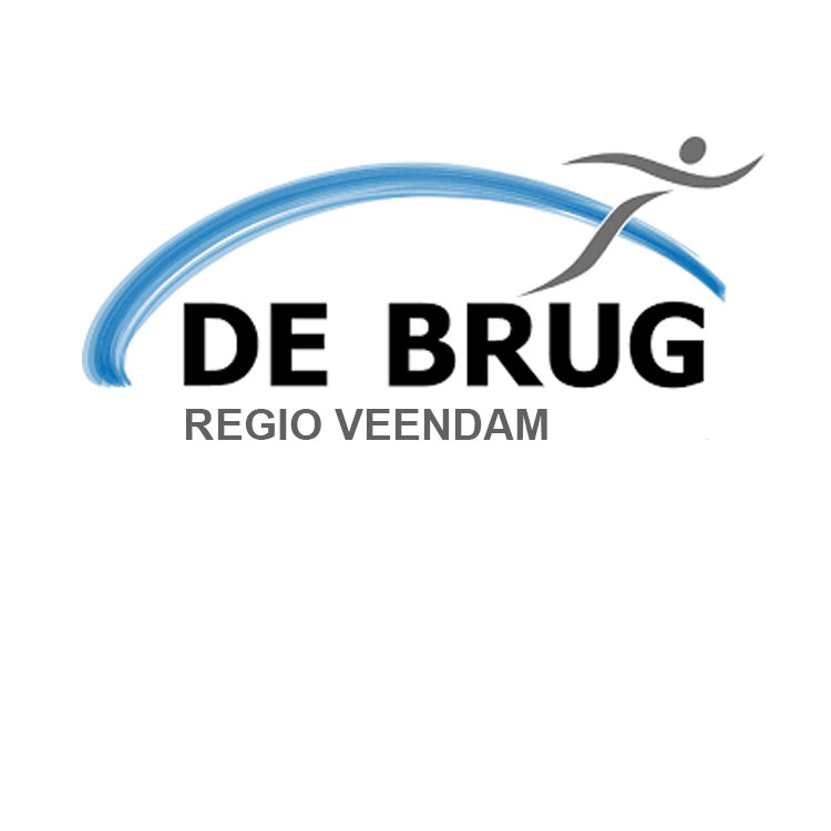 Stichting de Brug logo